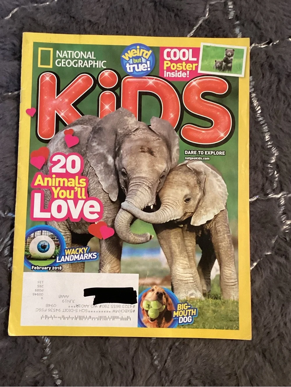 Feb 2018 National Geographic Kids Animals You’ll Love